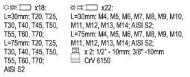 ZESTAW BITÓW RIBE TORX SECURITY 42CZ.